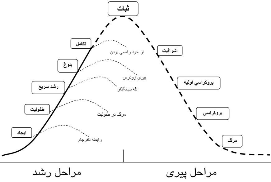 چرخه عمر سازمان